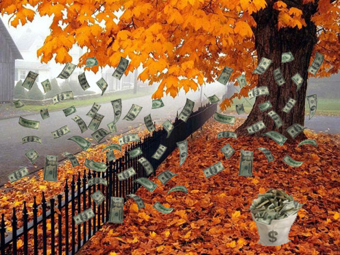 őszi pénz eső